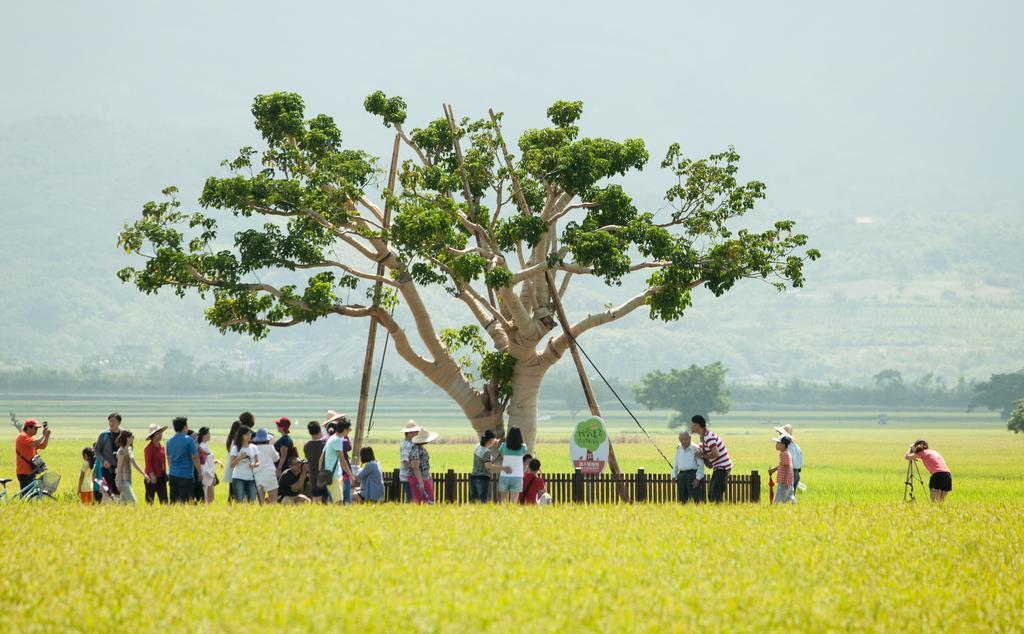 Flower Tamura قوانشان المظهر الخارجي الصورة